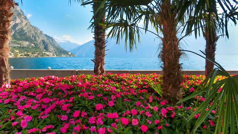 To dage til oplevelser på egen hånd: